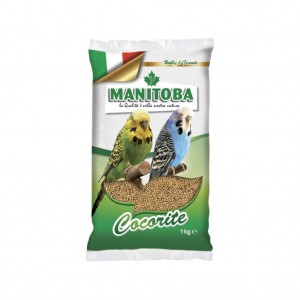 MISCUGLIO COCORITE MANITOBA